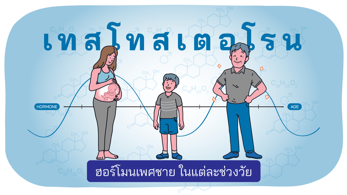 ฮอร์โมนเพศชายในแต่ละช่วงวัย: บทบาทและระดับที่เหมาะสม