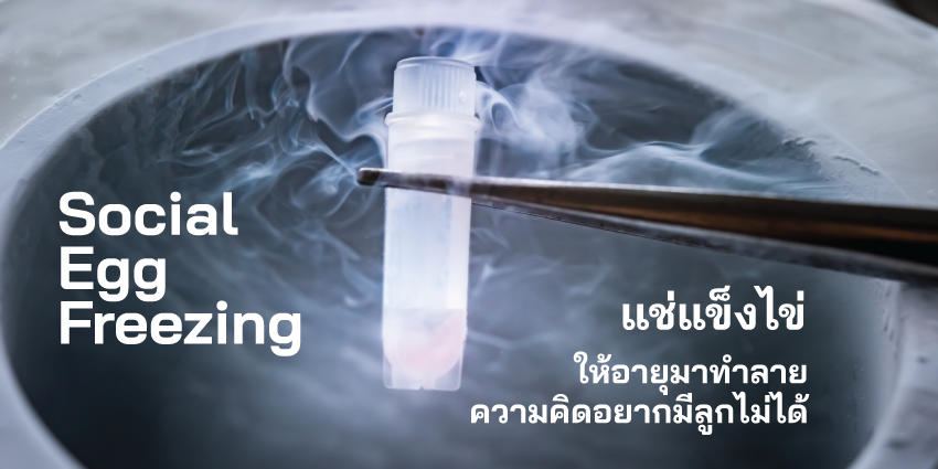 Social Egg Freezing: แช่แข็งไข่ ทางเลือกใหม่สำหรับผู้หญิงที่วางแผนมีลูกในอนาคต